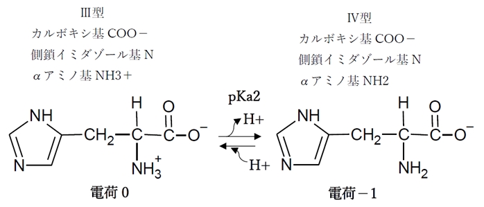 ヒスチジン pHの変化と解離,化学種の存在比(割合),荷電,等電点